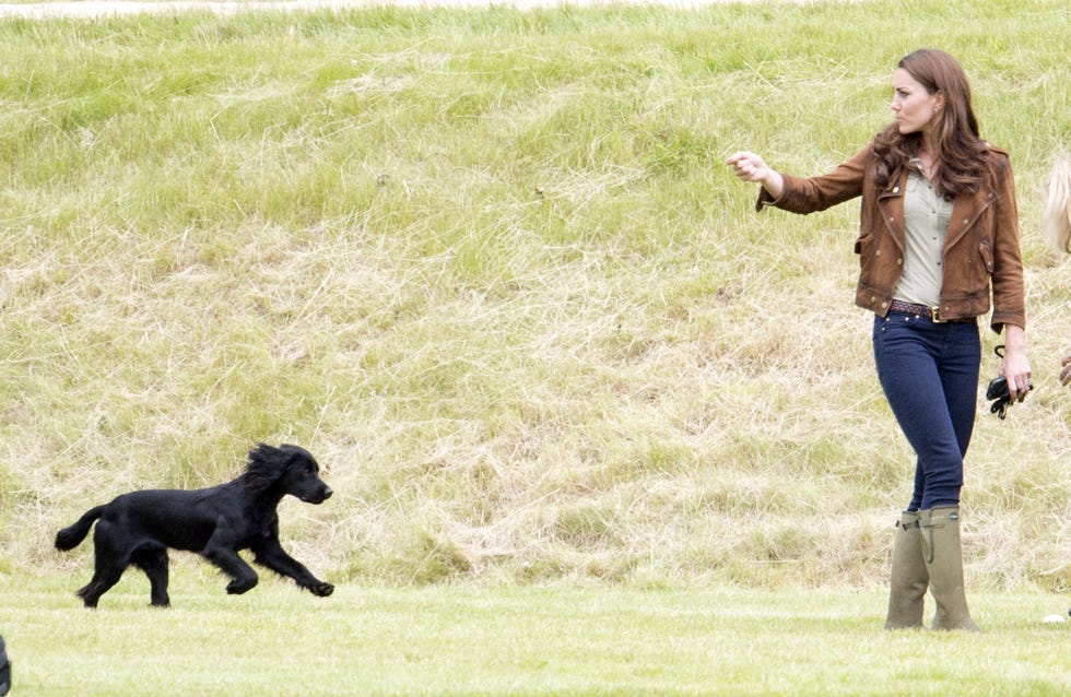 Catherine, Duchess of Cambridge with her dog Lupo at the Tusk charity polo match at the Beaufort Polo Club near Tetbury, photo by Mark Cuthbertuk Press via Getty Images