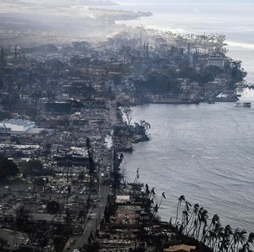 an aerial view shows destroyed homes and buildings that burned to the ground around the harbor and front street in the historic lahaina town in the aftermath of wildfires in western maui in lahaina, hawaii, on august 10, 2023 at least 36 people have died after a fast moving wildfire turned lahaina to ashes, officials said august 9, as visitors asked to leave the island of maui found themselves stranded at the airport the fires began burning early august 8, scorching thousands of acres and putting homes, businesses and 35,000 lives at risk on maui, the hawaii emergency management agency said in a statement photo by patrick t fallon afp photo by patrick t fallonafp via getty images