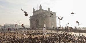 Pigeons, India Gate, Colaba, Mumbai, India