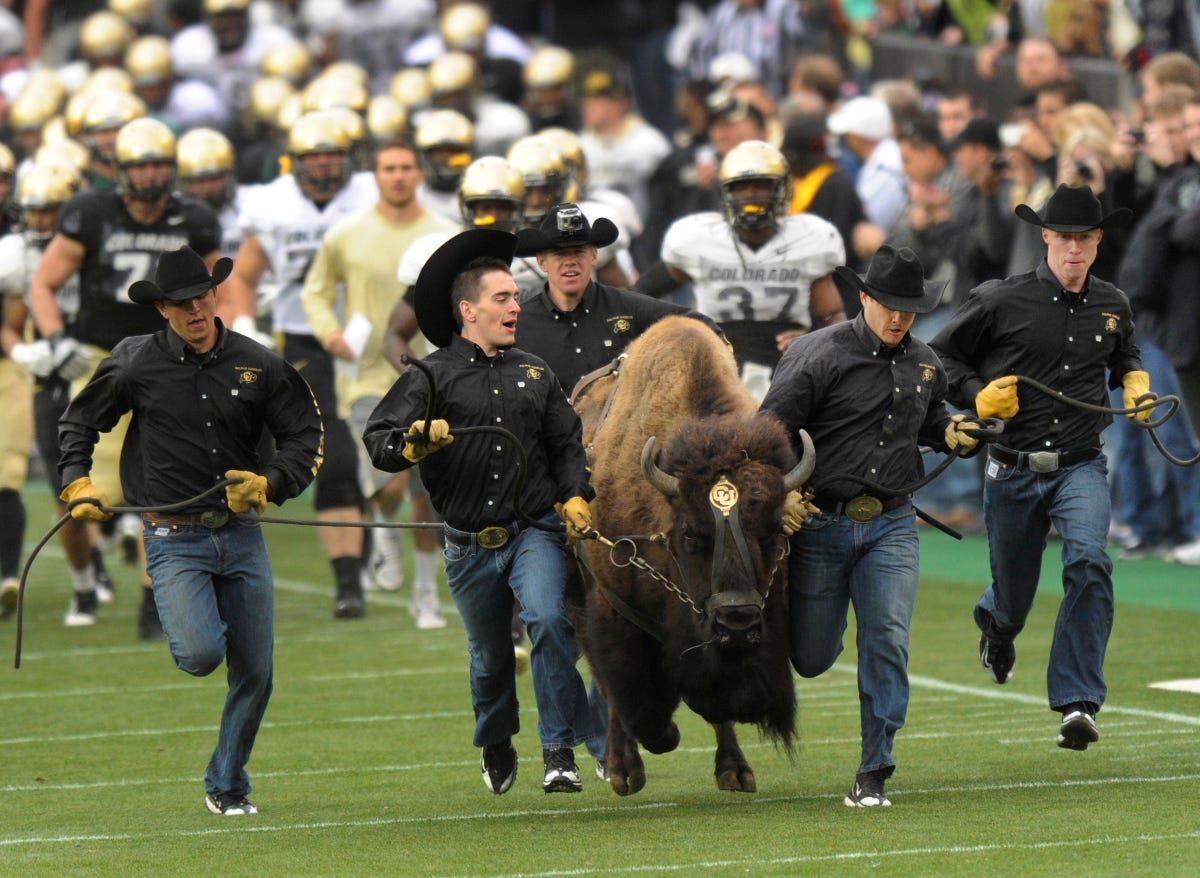University of Colorado Students Run With Mascot Ralphie
