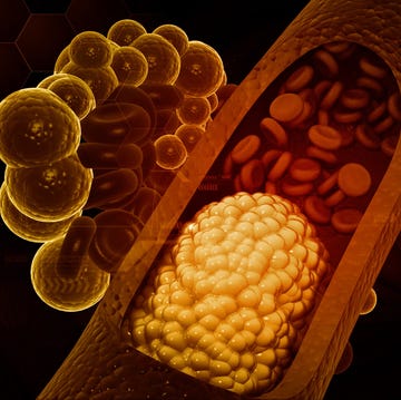 Cholesterol zo werkt cholesterol