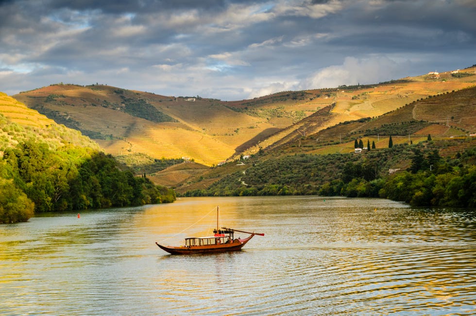 a traditional portuguese rabelo boat cruising down the duoro river, portugal terraced vineyards cover the hills next to the river