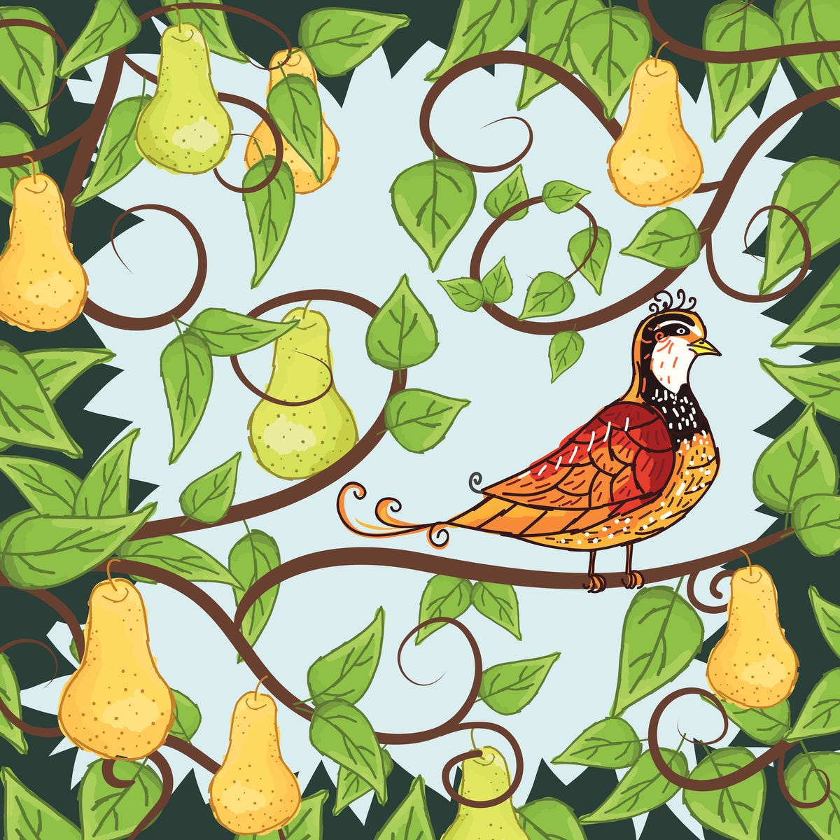 a partridge in a pear tree 12 days of christmas