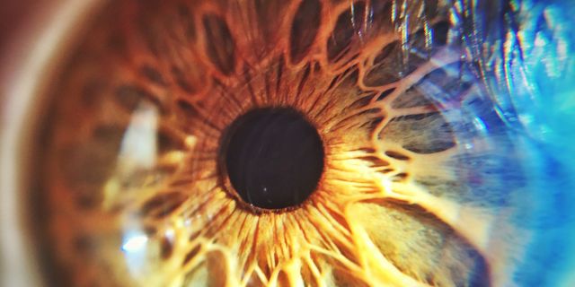 Радужка содержит пигмент. Янтарная радужка глаза. Красивые Радужки глаз. Глаз макро. Радужная оболочка глаза.
