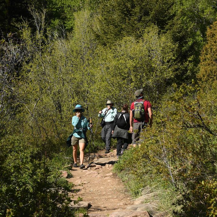 hikers cover their faces with mask on fern lake trail in rocky mountain national park