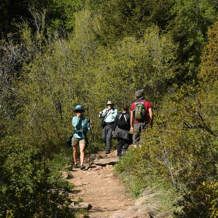 hikers cover their faces with mask on fern lake trail in rocky mountain national park