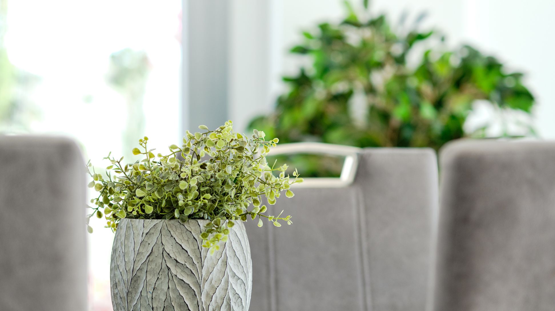 Vagabundo aplausos Vislumbrar 15 Ideas para decorar tu casa con plantas artificiales