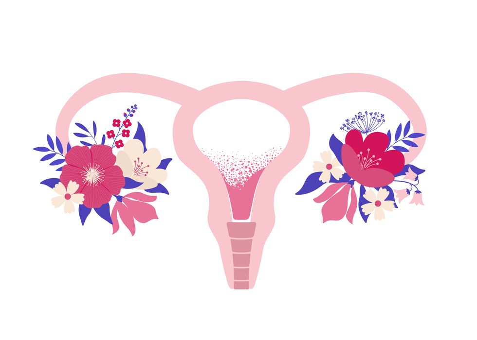 beauty female reproductive system with flowers hand drawn uterus, womb female reproductive sex organ and flowersvector illustration