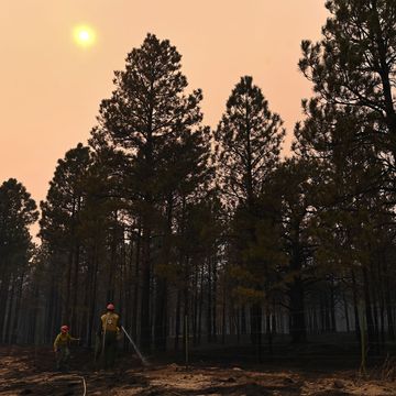firefighters work on putting out hotspots from a wildfire on friday may 13, 2022 in mora, nm,the calf canyon and hermits peak fires have been burning in the region, the hermits peak fire started as a prescribed burn