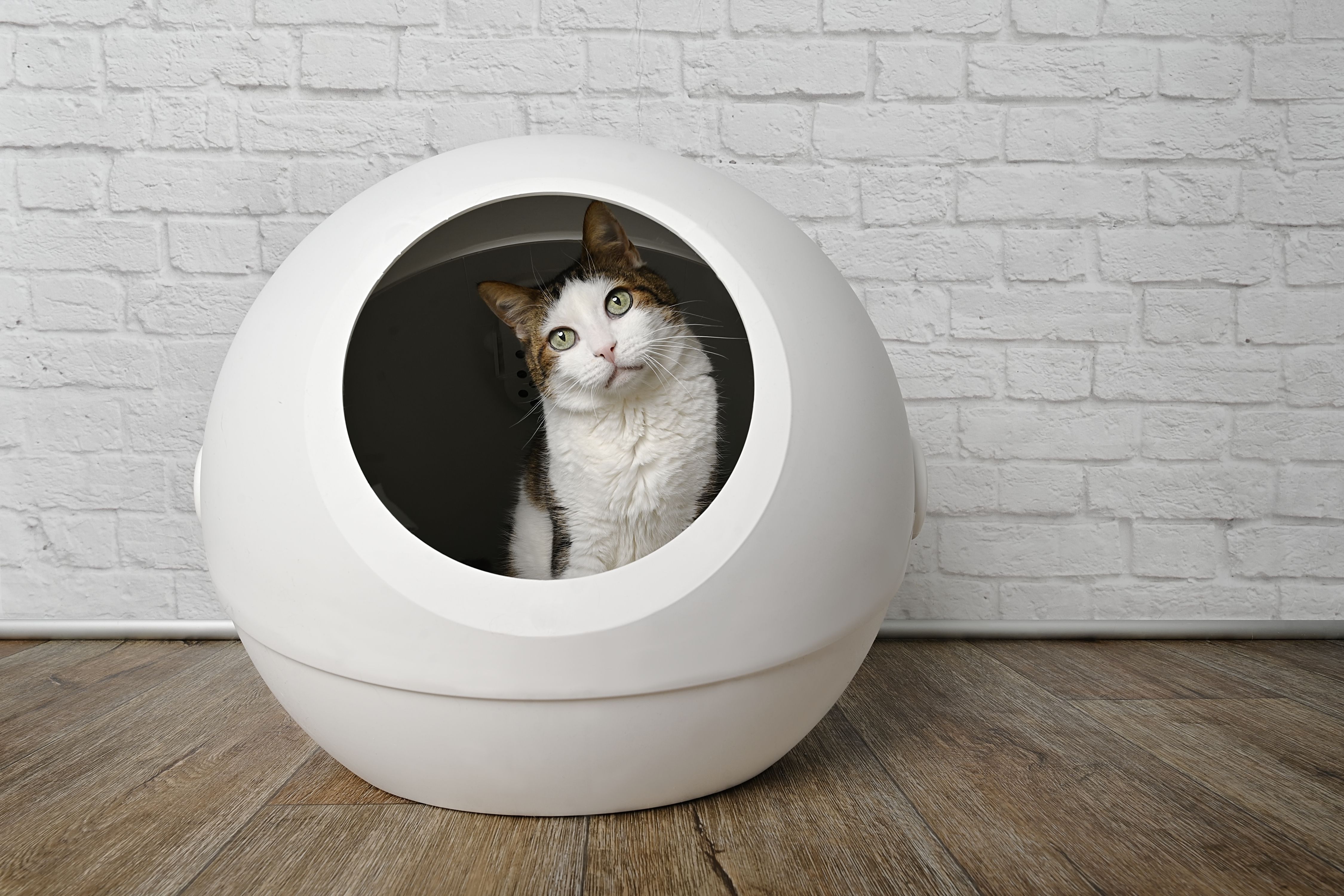 ネイチャーズミラクル全自動猫トイレ シングルキャット&マルチキャット-