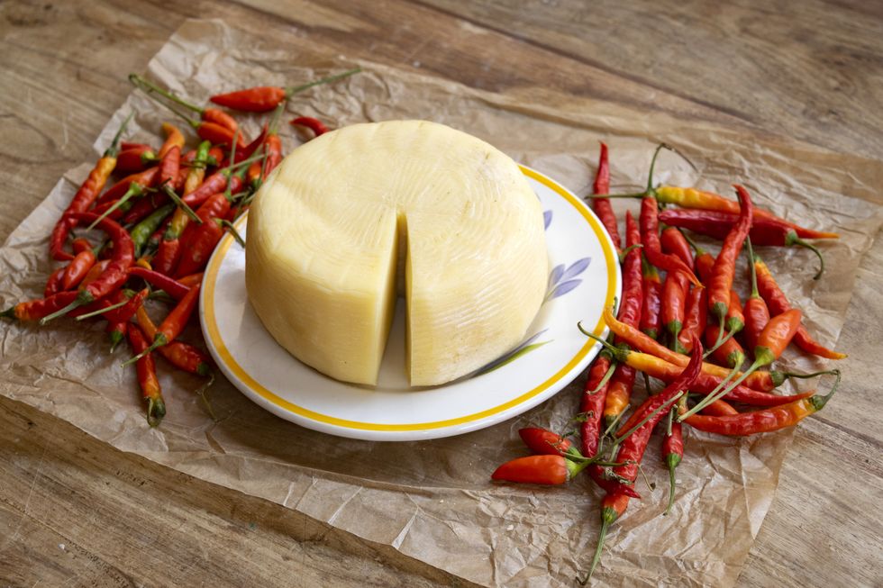 pecorino sardo cheese handmade by sardinian shepherds