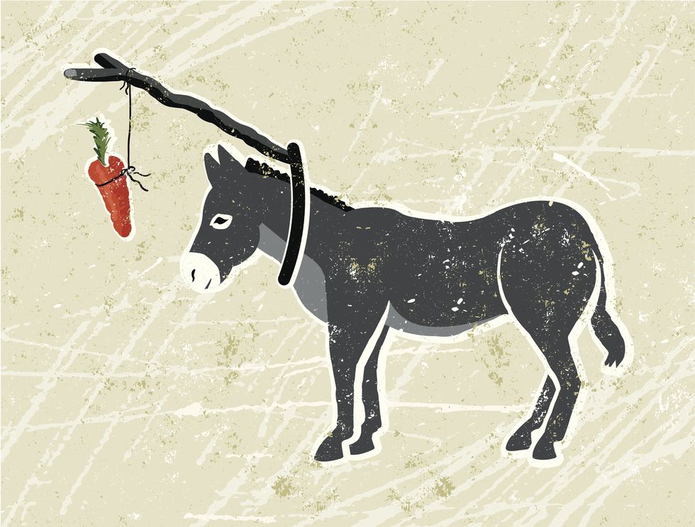 Burro, Horse, Mane, Illustration, Snout, Pony, Livestock, Pack animal, Art, Drawing, 