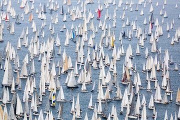 Sailing regatta Barcolana