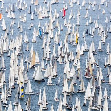 Sailing regatta Barcolana