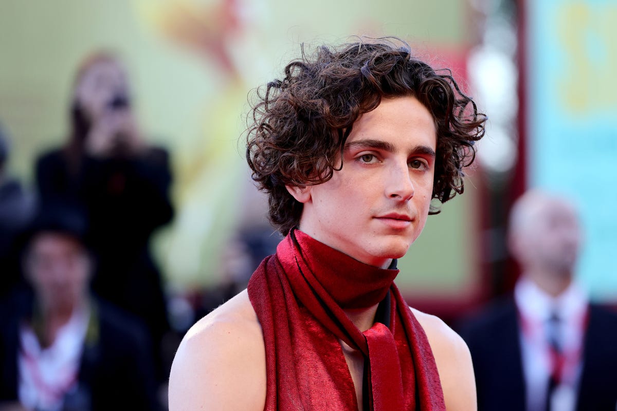 Timothée Chalamet: It's 'Tough to Be Alive' During Social Media Age