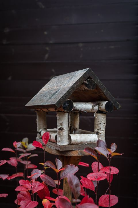 handmade wooden bird feeder among autumn red leaves, toned