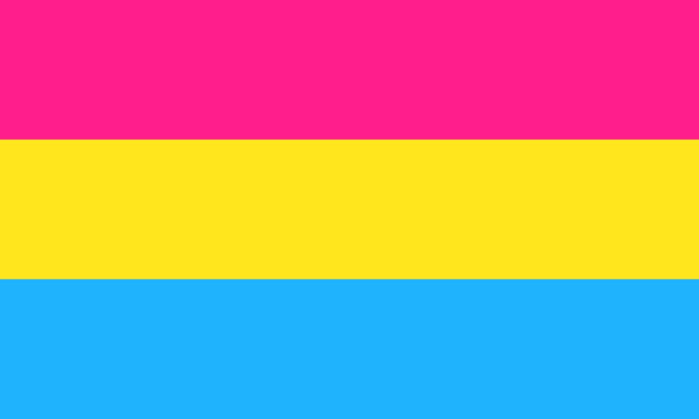 pansexual pride flag one of a communities of lgbt sexual minority