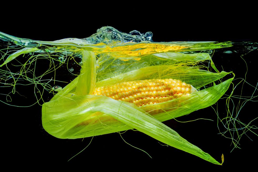 close up of a partially husked corn cob as it plunges into water with splashes against a black backdrop