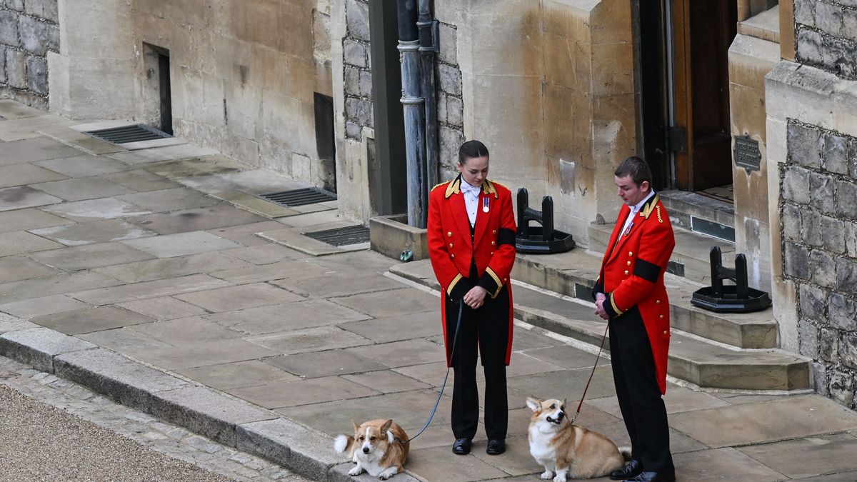 preview for Royal Family leave Westminster Abbey after Queen Elizabeth II's funeral service