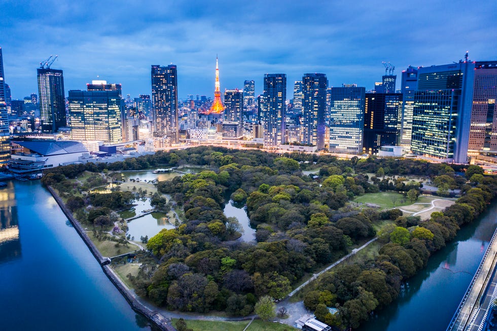 aerial view of hamarikyu gardens and tokyo tower