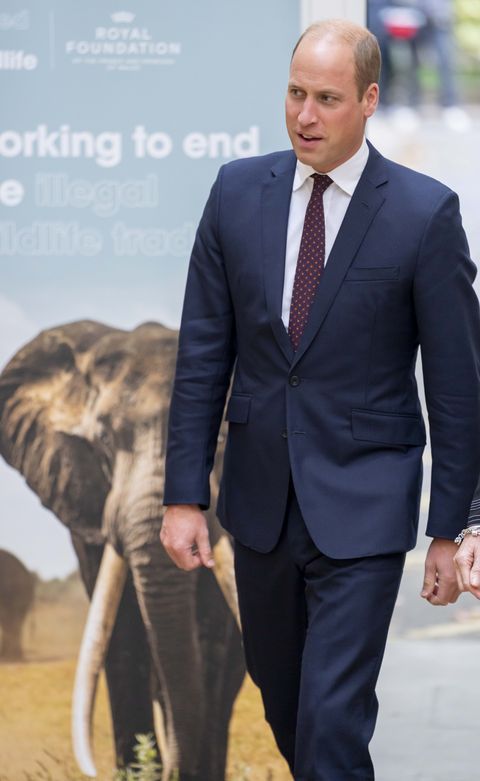 london, england   october 04 prince william, prince of wales attends the united for wildlife summit at science museum on october 4, 2022 in london, england photo by mark cuthbertuk press via getty images