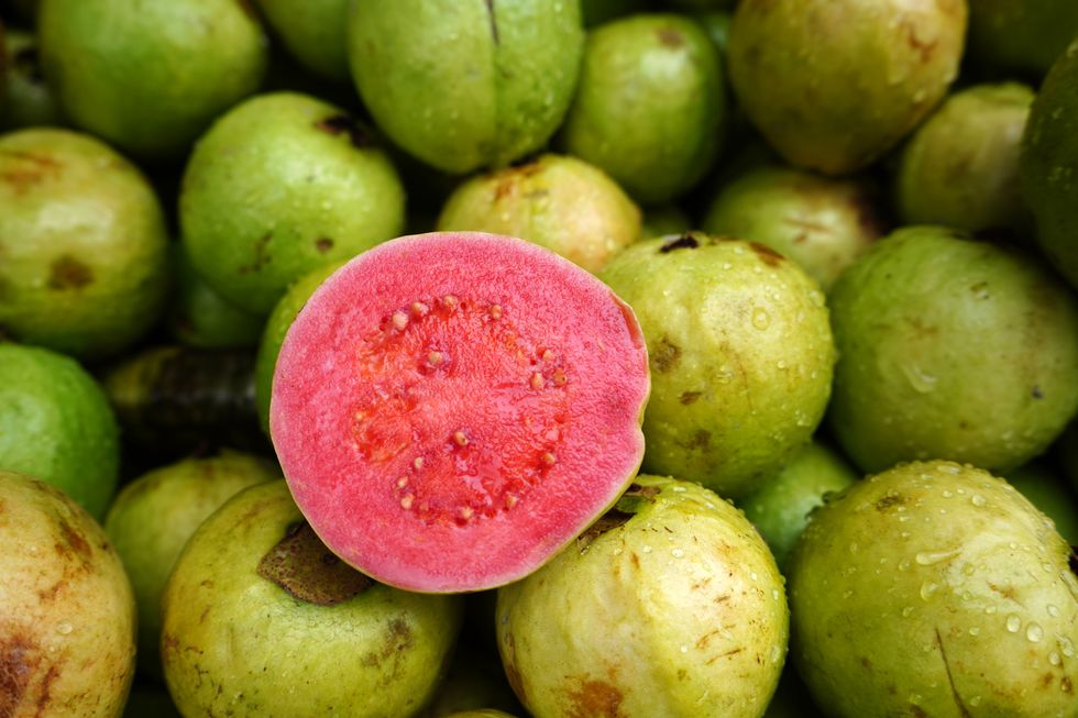 fresh guava fruit for sale at market
