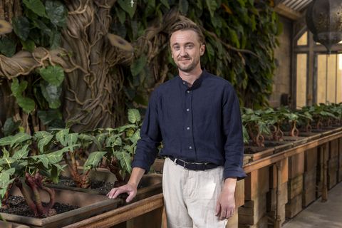 watford, england   june 21 tom felton unveils the new professor sprouts greenhouse feature at warner bros studio tour london on june 21, 2022 in watford, england photo by mike marslandgetty images for warner bros studio tour london