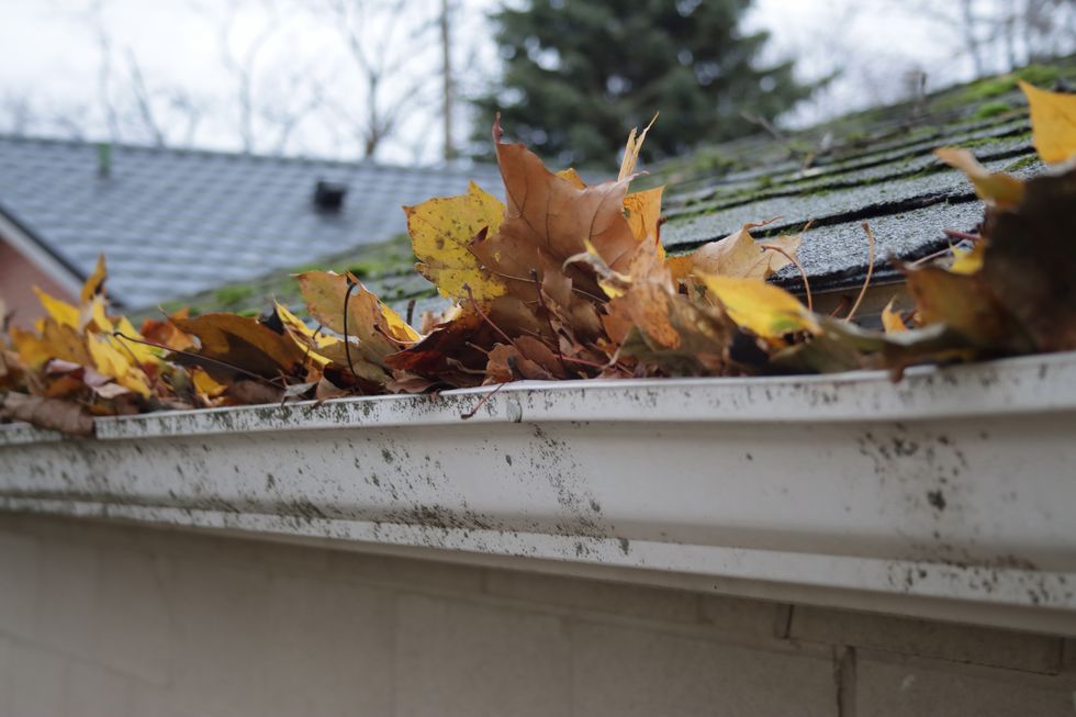 an image showing an unmaintained rain gutter full of fallen autumn leaves
