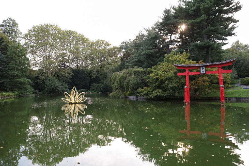 Dior Unveils L'Or de J'adore Fragrance and Art Collab at Star-Studded  Brooklyn Botanic Garden Party