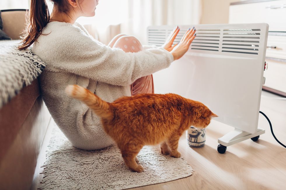 using heater at home in winter woman warming her hands sitting by device with cat and wearing warm clothes heating season