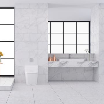 smart toilet smart toilet