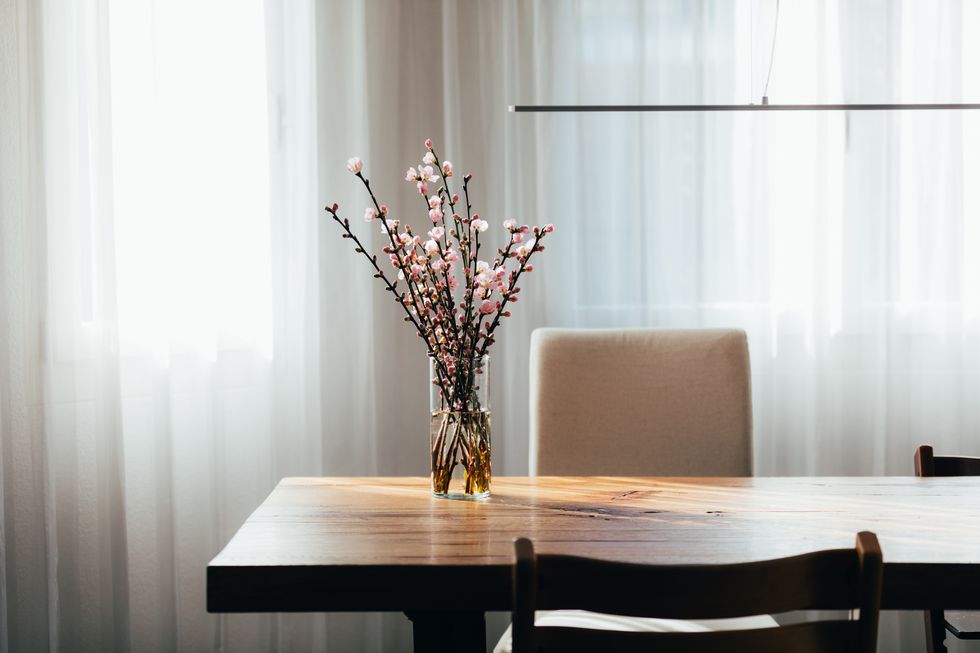 almond blossom twigs in a vase on wooden table in living room springtime at home