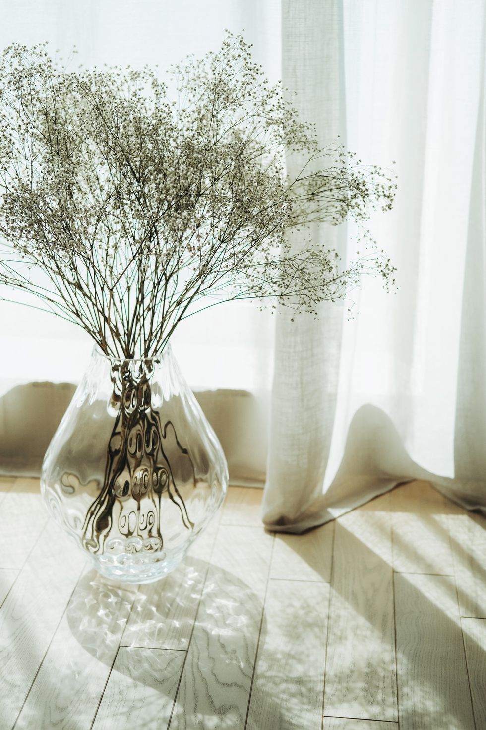 dry wild white petaled flowering plant in fancy vase on wooden flooring against light curtains
