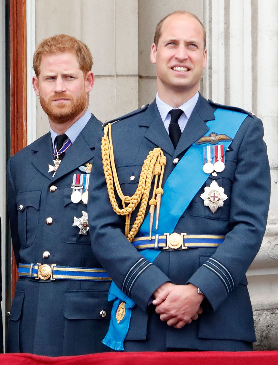 prince harry and the monarchy