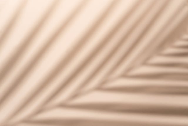 blurred palm leaf shadow wall pastel beige background abstract palm tree coconut leaf copy space