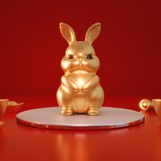 chinese zodiac year of the rabbit