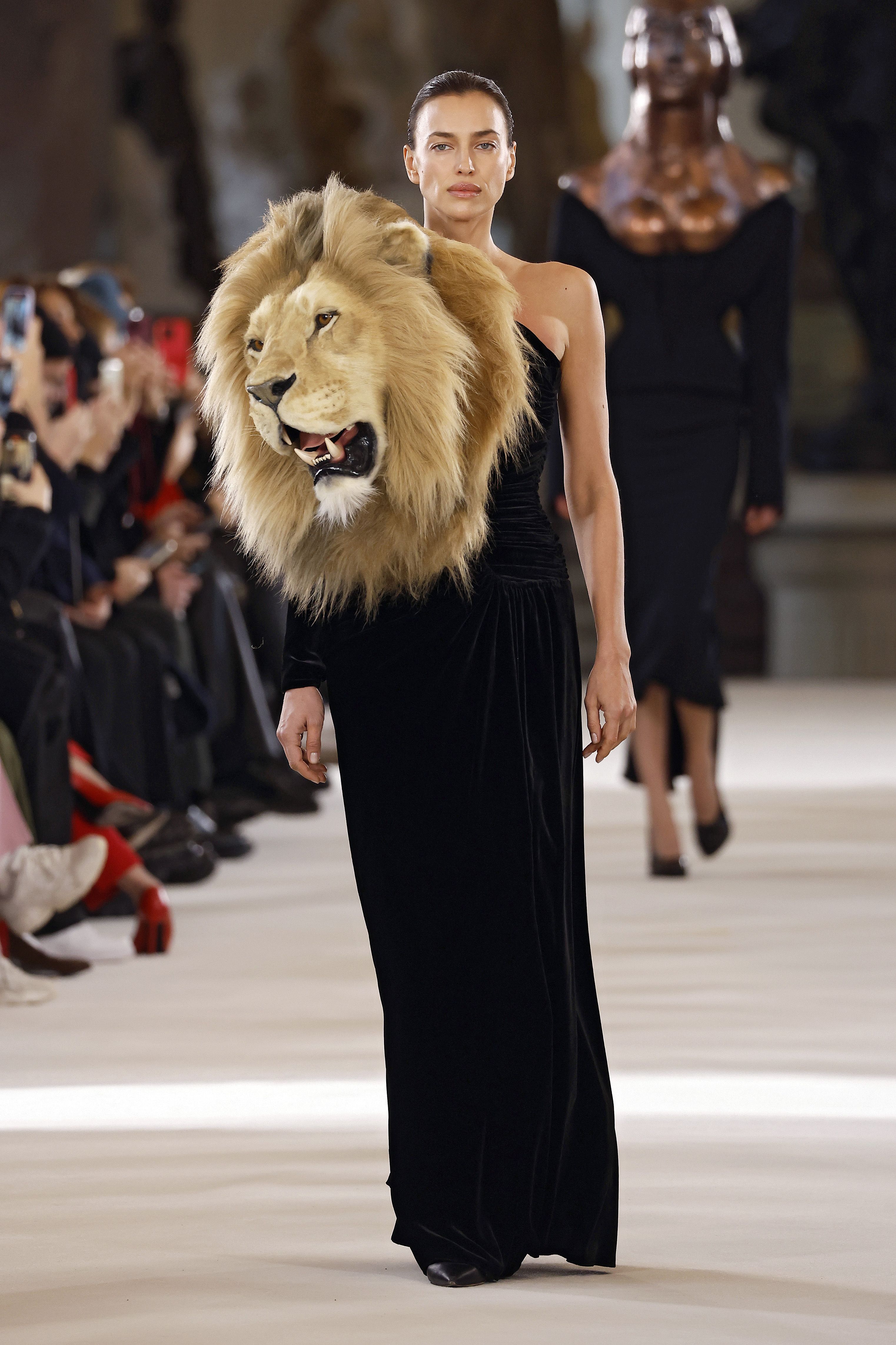 dress lion