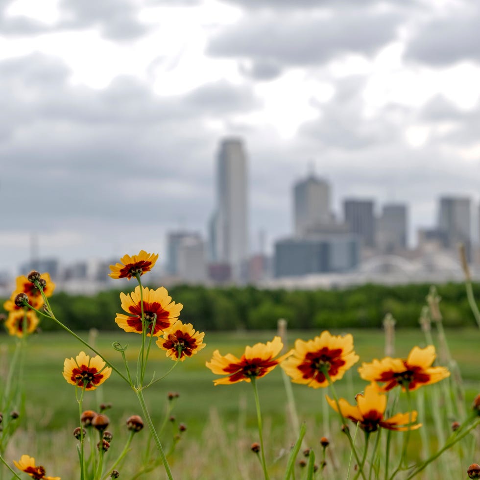 best places to travel in spring best places to travel in spring