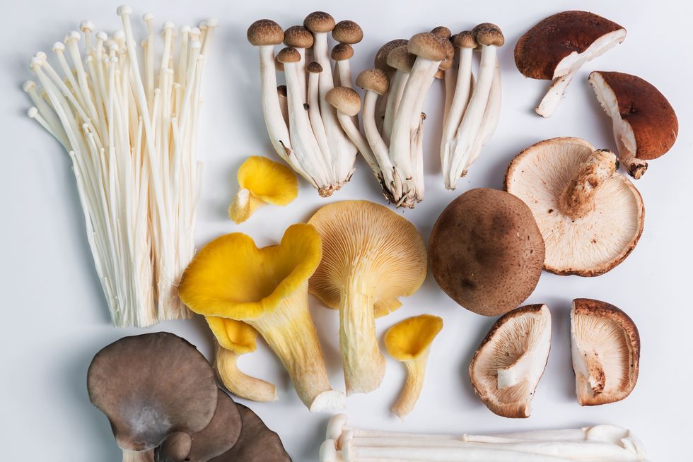 various raw mushroom, enoki mushroom and shimeji mushroom