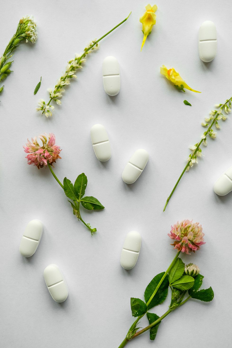 flowers and medicinal herbs, on a white background next to organic natural tablets and capsules on an herbal basis the concept of alternative medicine and health care, homeopathy treatment and prevention of diseases, taking medications