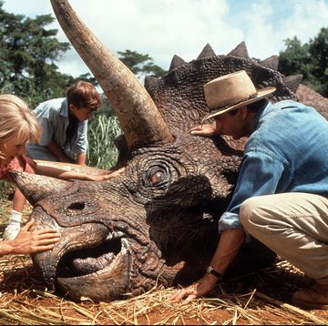 laura dern and sam neill come to the aid of a triceratops in a scene from the film jurassic park, 1993 photo by universalgetty images