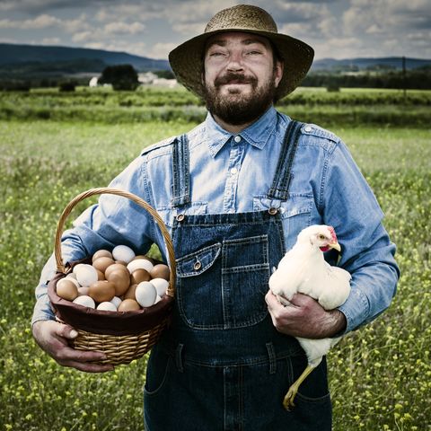 farmer holding basket full of organic eggs in field with free range hen