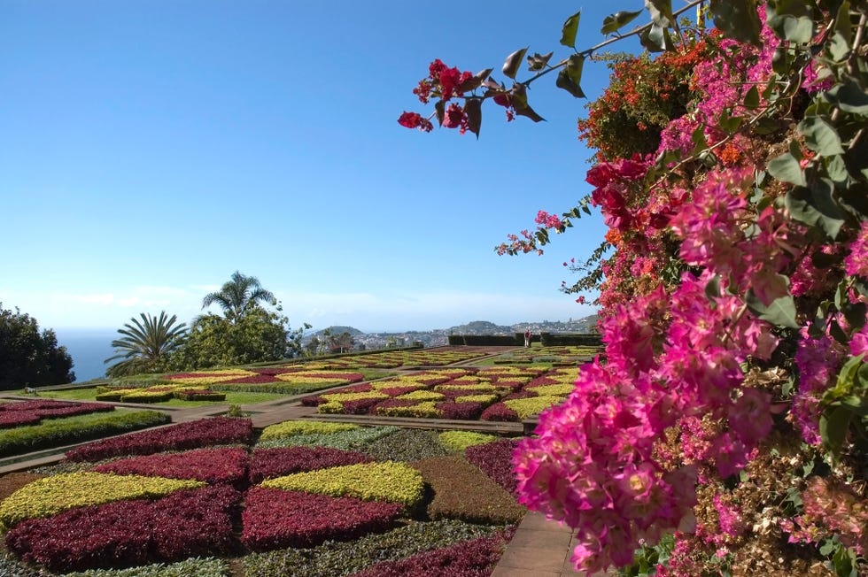 botanical garden at funchal, madeira