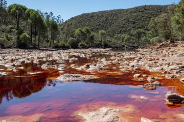 sendero del río tinto