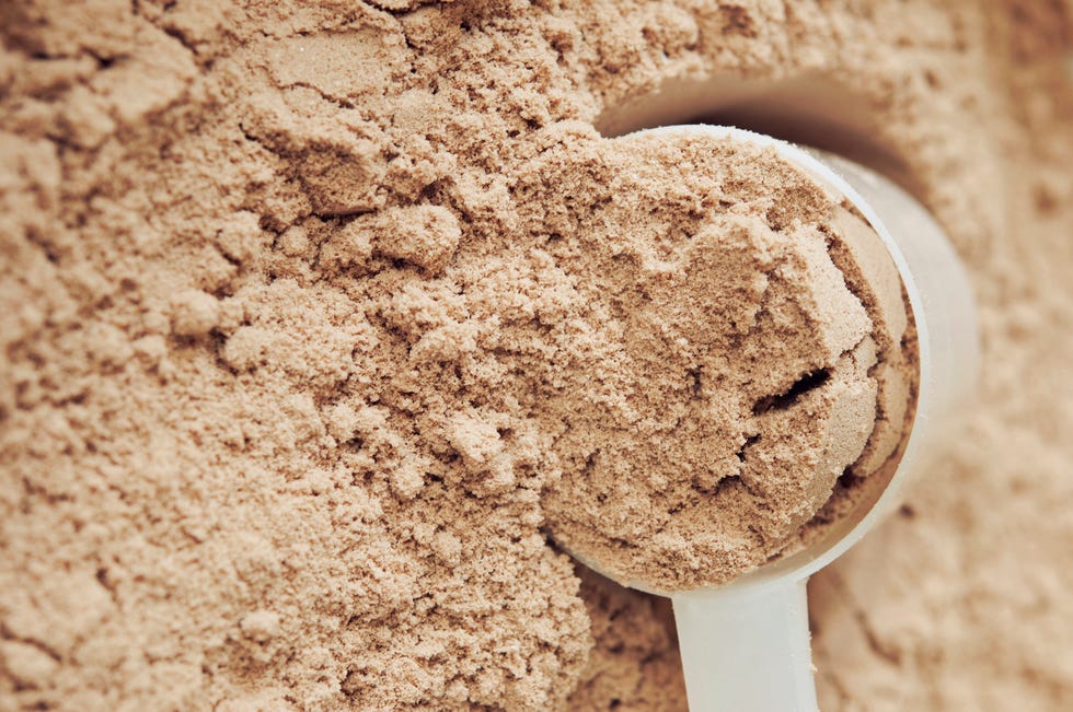 chocolate protein powder