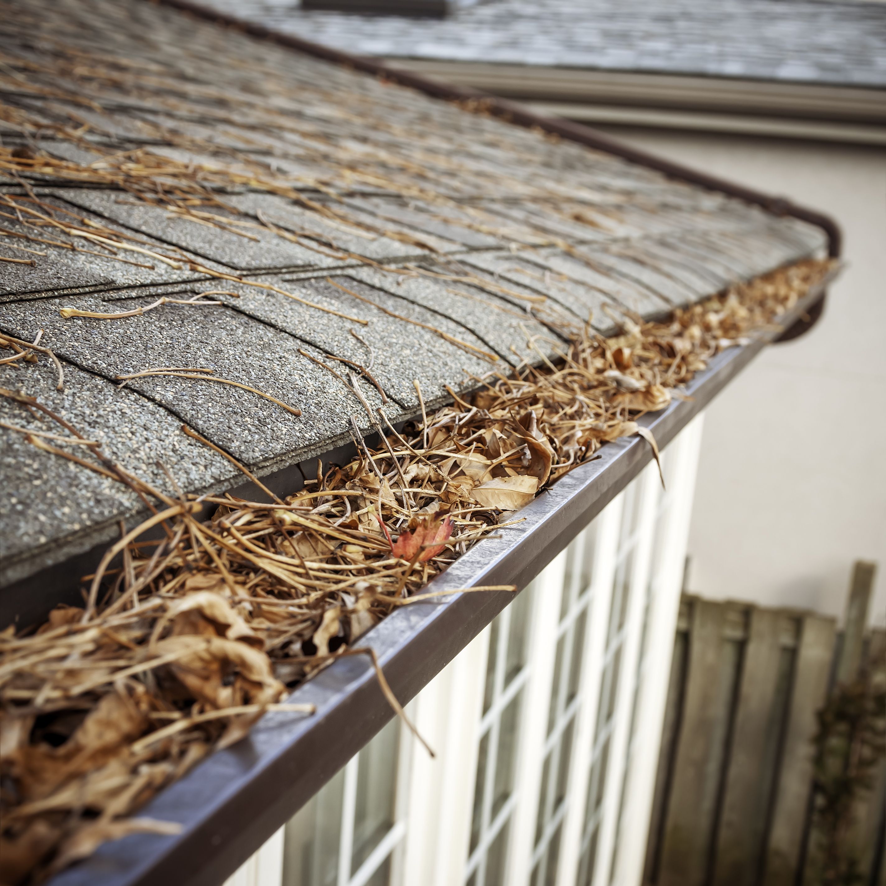 Gutter Cleaning and Repair | Roof Gutters