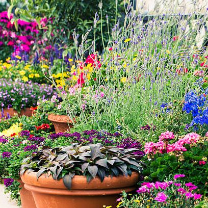 Best Container Garden Ideas - How to Style a Container Garden
