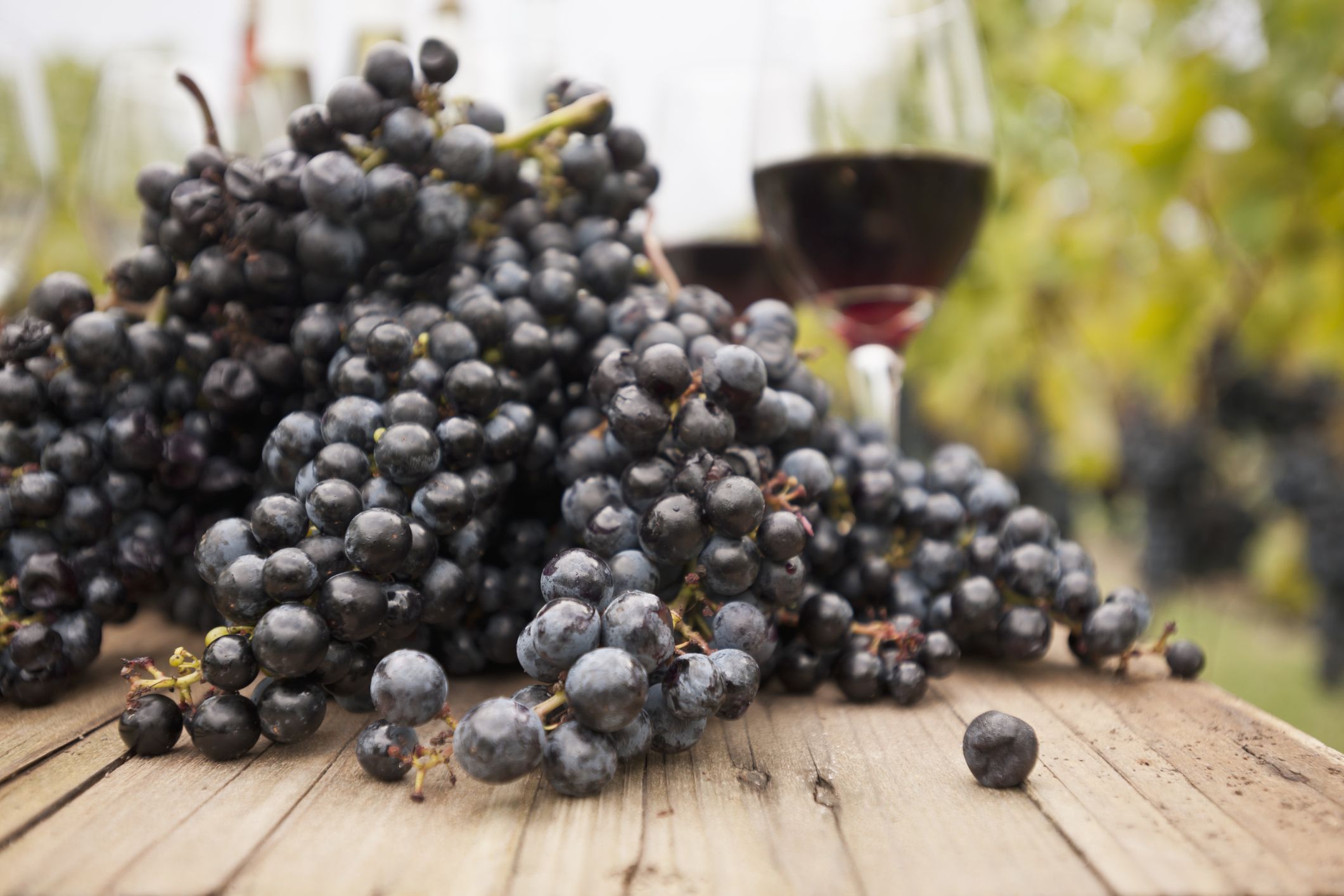 Un bicchiere di vino bianco prima di dormire fa dimagrire. Lo dice la  scienza