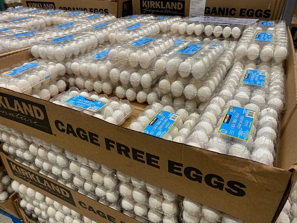underrated costco items large amount of cage free eggs at costco store, florida photo by lindsey nicholsonucguniversal images group via getty images