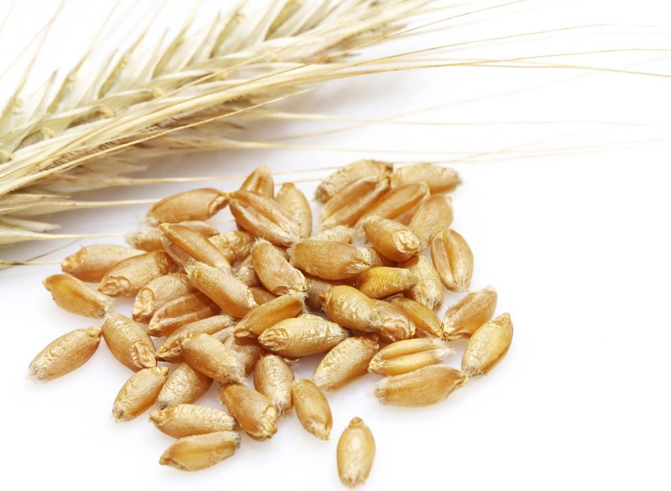 Food, Barley, Grass family, Cereal germ, Einkorn wheat, Whole grain, Food grain, Triticale, Khorasan wheat, Ingredient, 